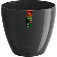 articul-A147914