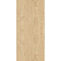 articul-A14911