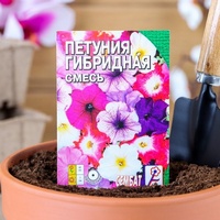 articul-A160702