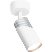 articul-A263145