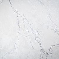 articul-A297579